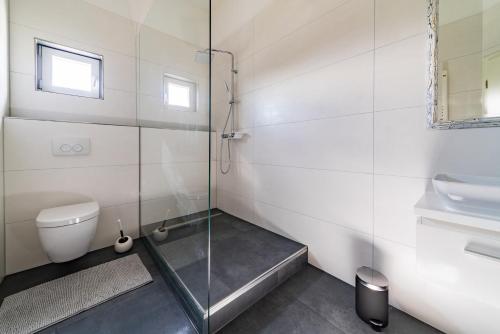 La salle de bains est pourvue d'une douche, de toilettes et d'un lavabo. dans l'établissement Apartment 4 an der Messe Friedrichshafen, à Friedrichshafen