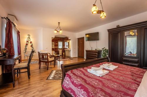 Afbeelding uit fotogalerij van Flora Luxury House in Sighişoara