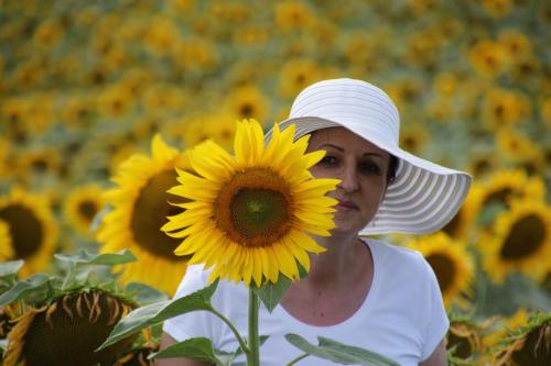 a woman holding a sunflower in a field of sunflowers at Tó Wellness Hotel in Bánk
