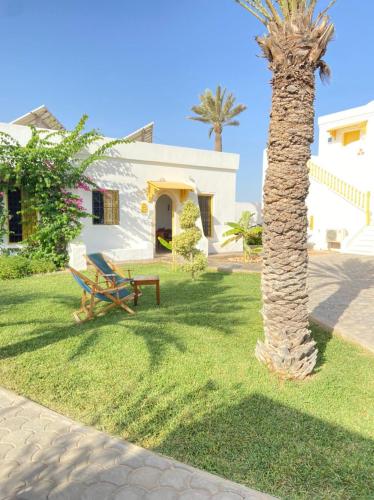 a palm tree and a bench in front of a house at Dar El Jerbi in Mezraya