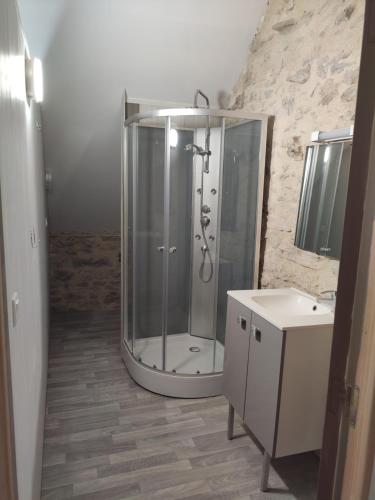 a bathroom with a shower and a sink at Le Fenil in Floirac