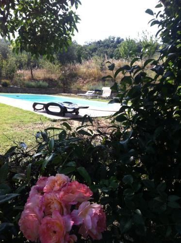a pair of scissors sitting on the ground next to flowers at B&B Il Casale Del Ginepro in Migliano