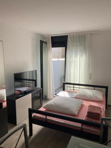 Schlafzimmer mit einem Bett und einem Flachbild-TV in der Unterkunft Ferienwohnung Konstanz in Konstanz