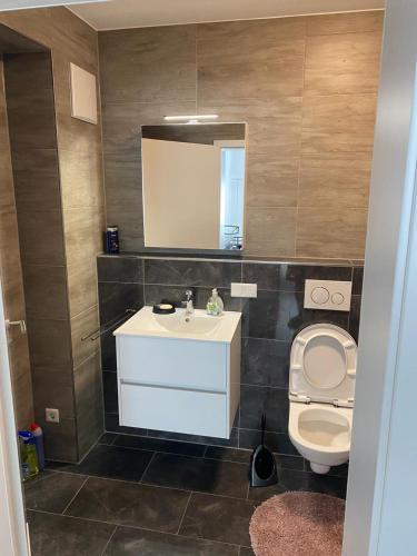 a bathroom with a sink and a toilet and a mirror at Ferienwohnung Konstanz in Konstanz