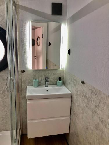 a bathroom with a sink and a mirror at Hausboot-LaFe Flensburger Förde in Egernsund