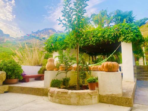 a garden with pumpkins and plants in a building at Casa Puccio B&B in Caltabellotta