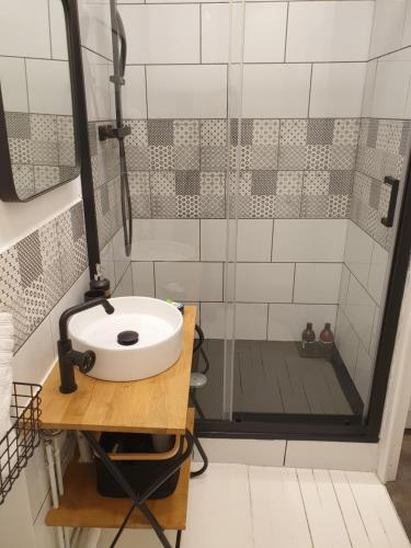 a bathroom with a sink and a shower at Le cœur de Troyes - Appartement & Studio in Troyes