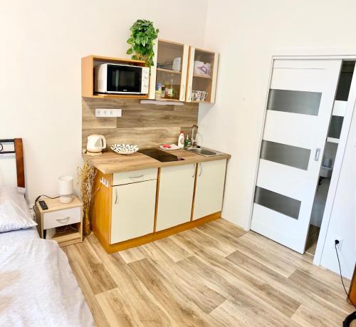 Il comprend une petite cuisine équipée d'un évier et d'un four micro-ondes. dans l'établissement Private apartment - Park Olomouc - super lokalita, à Olomouc