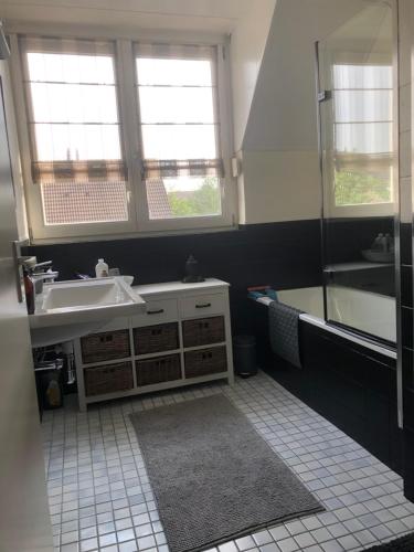 baño con lavabo y 2 ventanas en Beej Fliep, en America