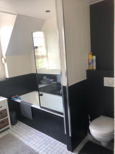 uma casa de banho com um chuveiro e um WC. em Beej Fliep em America