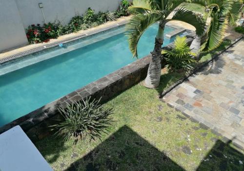 a swimming pool with a palm tree in a yard at Luxury Villa L'ile Maurice in Pointe aux Cannoniers