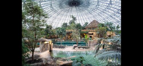 Poolen vid eller i närheten av Gîte zooval 9 personnes, piscine, à 5 min du zoo de Beauval