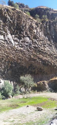 a rocky hillside with a field of grass and trees at HOTEL N1 in Yerevan