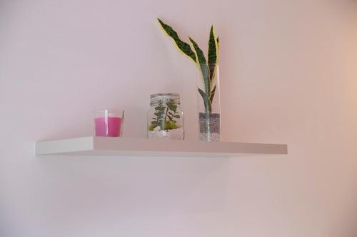 a shelf with two glass jars and a plant at Marigold Residence in Roseto degli Abruzzi