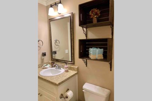 a bathroom with a sink and a toilet and a mirror at Peaceful 3BR/2BA Hidden Lake Home Near ACOM w/WiFi in Dothan