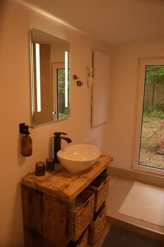 a bathroom with a bowl sink and a mirror at Allerlichtung in Buchholz Aller