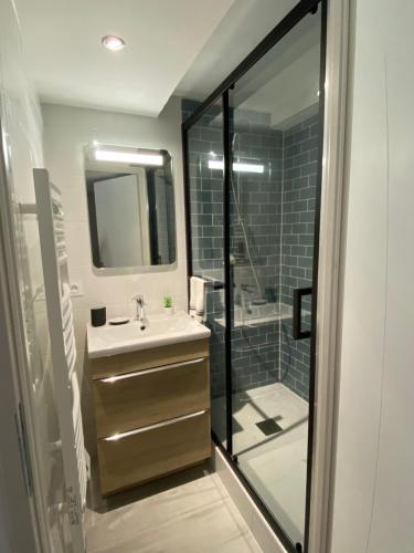a bathroom with a sink and a shower at Appartement cosy, pied de pistes - Les deux alpes in Les Deux Alpes