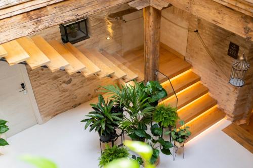 an overhead view of a room with stairs and plants at Dobo Azacanes Hostal in Toledo