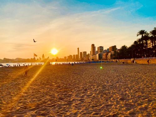 SUNSET WAVES Benidorm Sea View photo 33