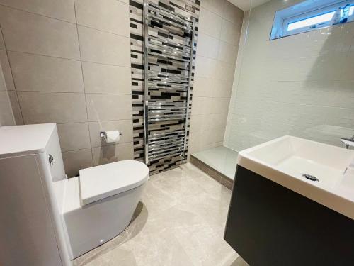 een badkamer met een toilet, een wastafel en een douche bij NEW MODERN STUDIO APARTMENT, PARKING, Netflix in Kenilworth