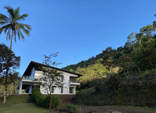 una casa blanca en una colina con una palmera en Arte de Plumas birding lodge en Cartago