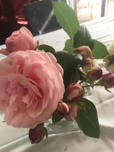 a bouquet of pink roses sitting on a table at Résidence La Beauceronne in Ouarville