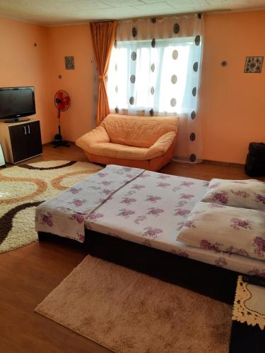 a living room with a bed and a couch at Vila la Izvorul Putinei in Haţeg