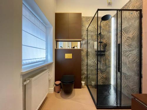 a bathroom with a shower and a toilet in it at Chili Apartment in Toruń