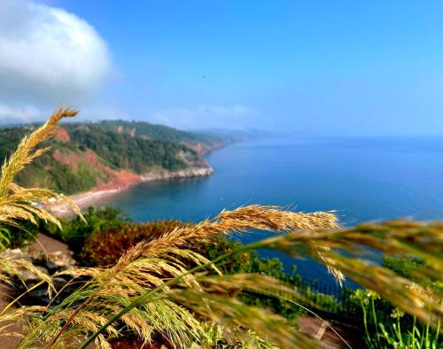 Rooms At Babbacombe