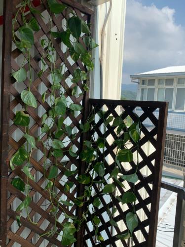 a fence with a plant on a balcony at Guan Ma Homestay in Miaoli