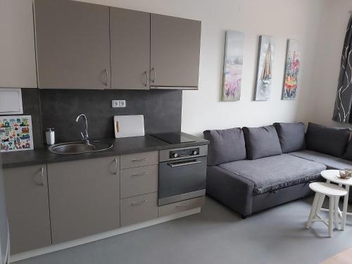 a living room with a couch and a kitchen at Apartmán Tony Slapy in Slapy