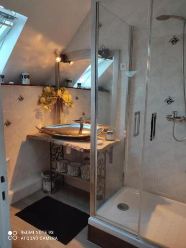 a bathroom with a shower and a sink at chambre au mont scolan in Montgardon