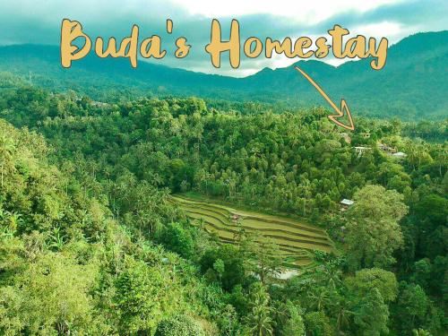 a sign that reads bulkas honeyery next to a forest at Buda's Homestay Lemukih in Buleleng