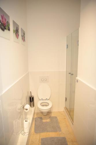 ein weißes Bad mit einem WC und einer Dusche in der Unterkunft Heart of Vienna- next to Albertina in Wien