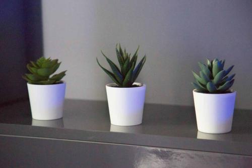 three plants in white pots sitting on a counter at Gîte Love Dream - Le Gîte Romantique in Ger