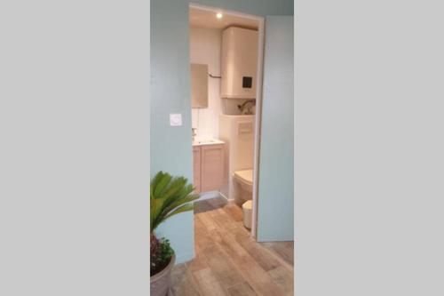 une cuisine et un salon avec une plante dans l'établissement Meudon: Adorable studio tout équipé, neuf et calme, à Meudon