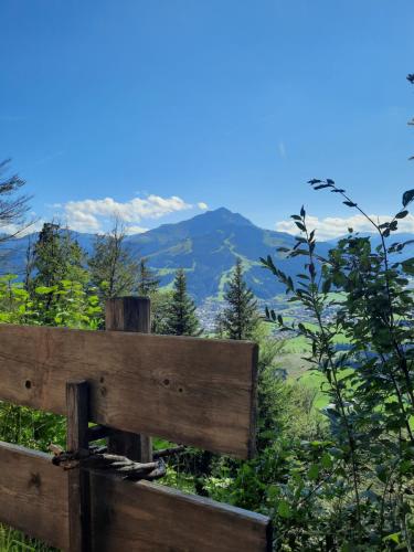 a wooden bench sitting on top of a mountain at Appartement Krepper in Erpfendorf