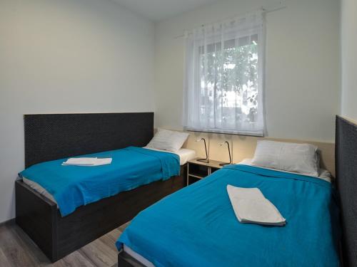 Cette chambre comprend 2 lits et une fenêtre. dans l'établissement Fövenyes House, à Balatonudvari