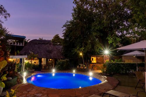 Majoituspaikassa Victoria Falls Backpackers Lodge tai sen lähellä sijaitseva uima-allas