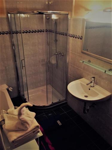 a bathroom with a shower and a sink at Appartment Martin in Westendorf