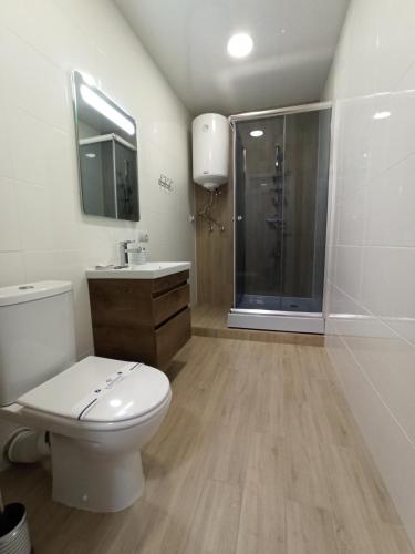 a bathroom with a toilet and a sink and a shower at Hotel Korona in Kropyvnytskyi