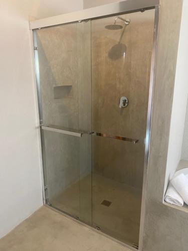 a shower with a glass door in a bathroom at Farquhar Lodge in Ladysmith