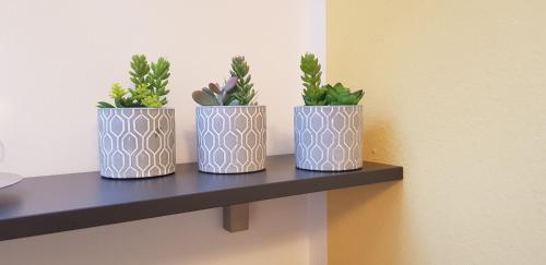 three vases with plants sitting on a shelf at Auszeit am Traunsee in Altmünster