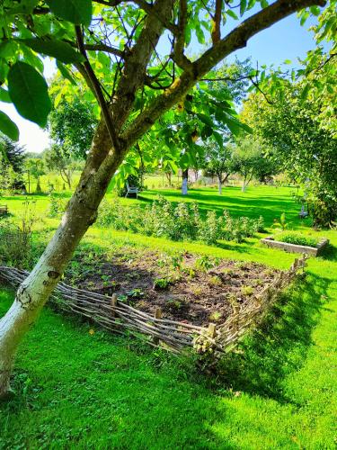Taman di luar Agroturystyka "Dobre czasy"