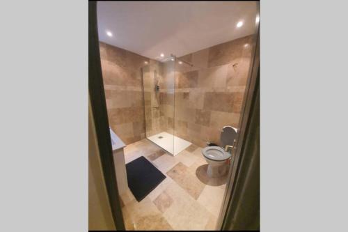 un bagno con doccia e WC di La Montille a Arles