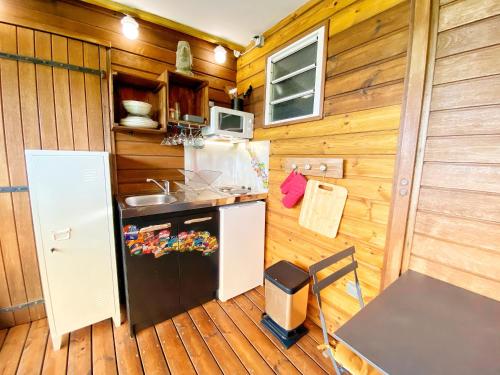 a kitchen with a refrigerator and a table in a cabin at Villa Moai 974 in Saint-Leu