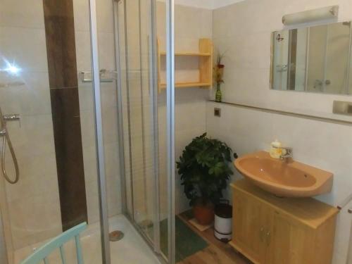 a bathroom with a shower and a sink at Ferienwohnung Stigloher im Bergschlößl in Oberaudorf