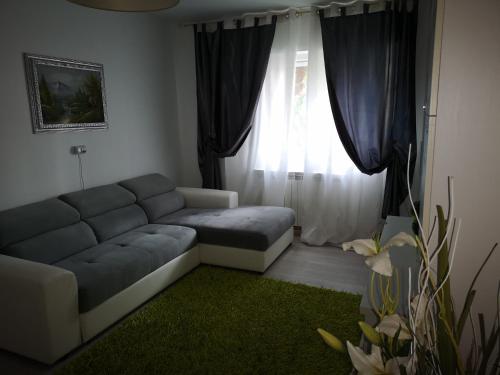 sala de estar con sofá y ventana en Apartament Darius, en Târgu Ocna