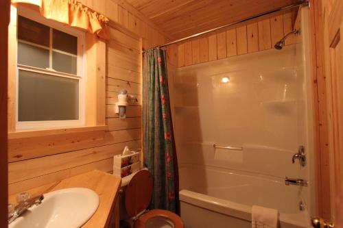 a bathroom with a toilet and a shower and a sink at Chalets Nature Océan in Perce