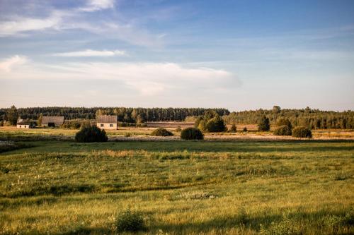 a field of grass with trees in the background at Jarzębinowa - Dom do wynajęcia na Podlasiu in Łuka